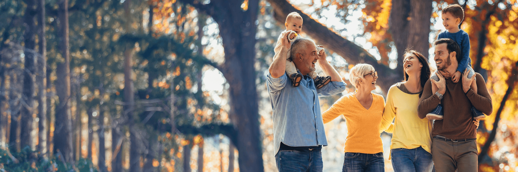 Single Dental Implants | Dentist